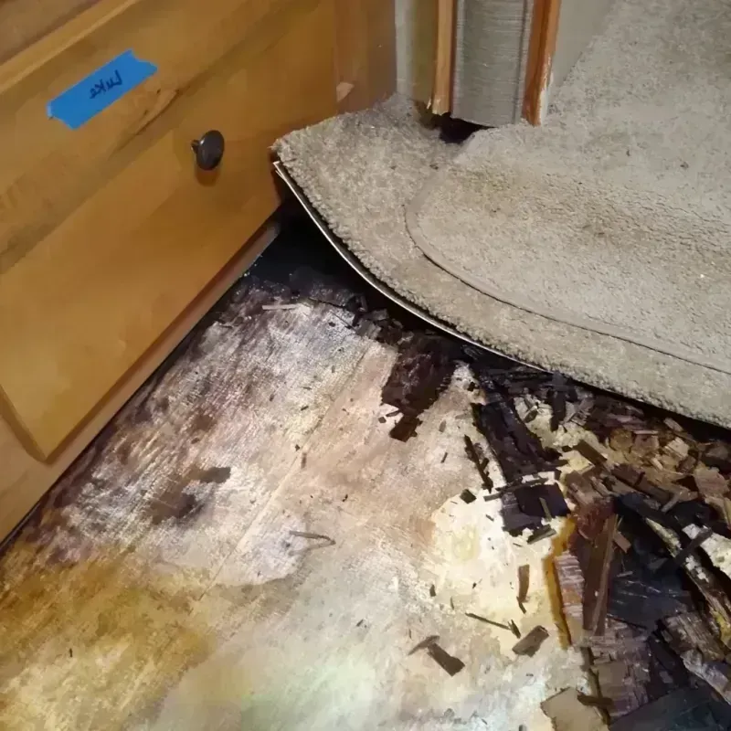 Wood Floor Water Damage in Parks, AZ